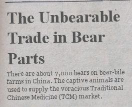 "The Unbearable Trade in Bear Parts"