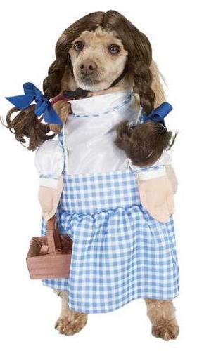 dorothy dog